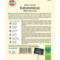 Katzenminze 'SPERLI's Blauer Kater'