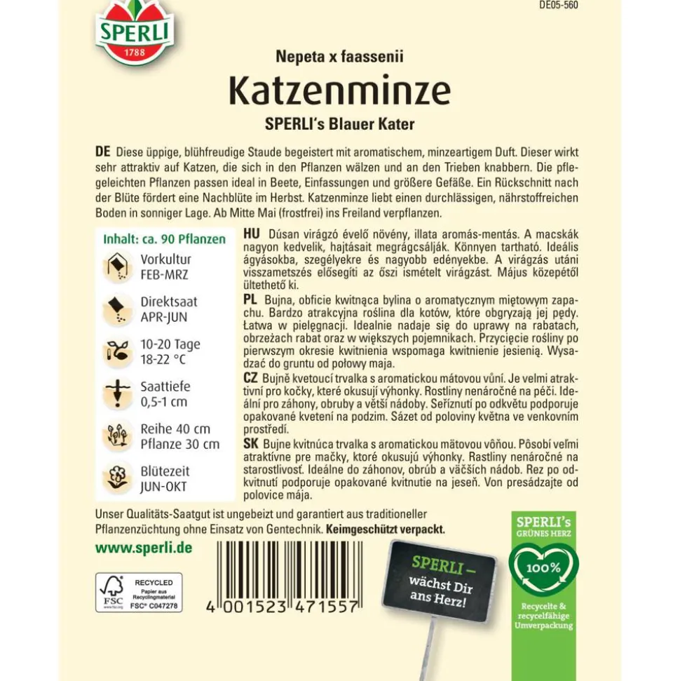 Katzenminze 'SPERLI's Blauer Kater'