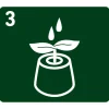 Kokos-Quelltabletten torffrei 50 Stück