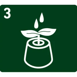 Kokos-Quelltabletten torffrei 50 Stück