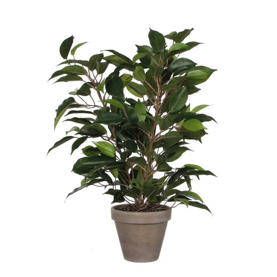 Kunstpflanze Ficus Natasja im Topf, grün 30 x 40 cm