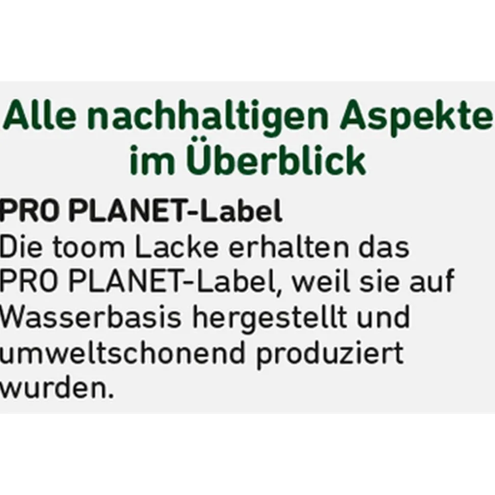 Kunststoffgrundierung weiß 750 ml