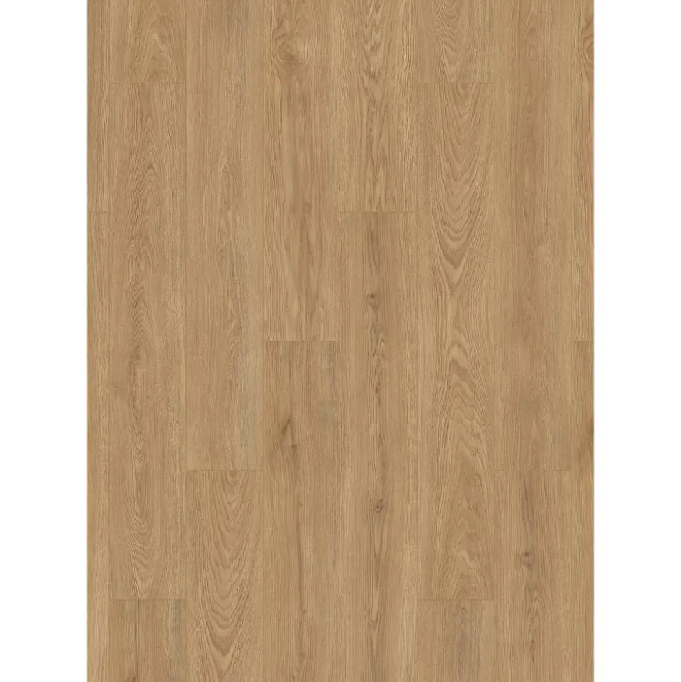 Laminat 'Premium Wheat Cornforth Oak' eichefarben 7 mm