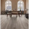 Laminat 'Rockford Oak' eichefarben grau 8 mm