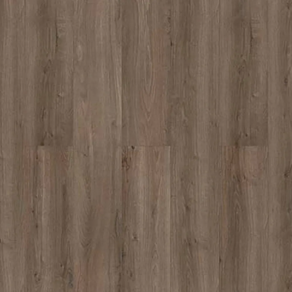 Laminat 'Savanne' Eiche Bodman graubraun 7 mm