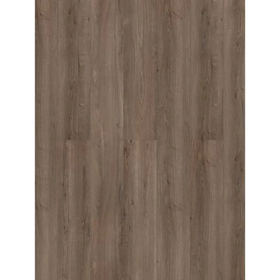 Laminat 'Savanne' Eiche Bodman graubraun 7 mm
