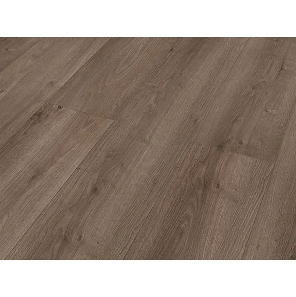 Laminat 'Savanne' Eiche Bodman graubraun 7 mm