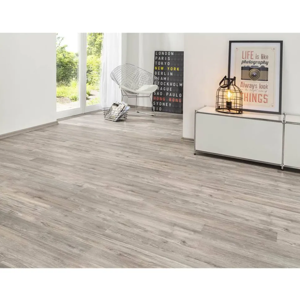 Laminat 'Scandinavia' Seekiefer graubraun 7 mm