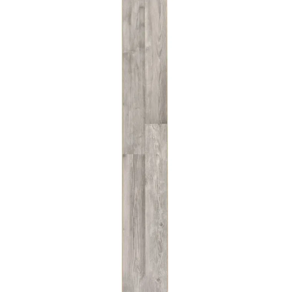 Laminat 'Scandinavia' Seekiefer graubraun 7 mm