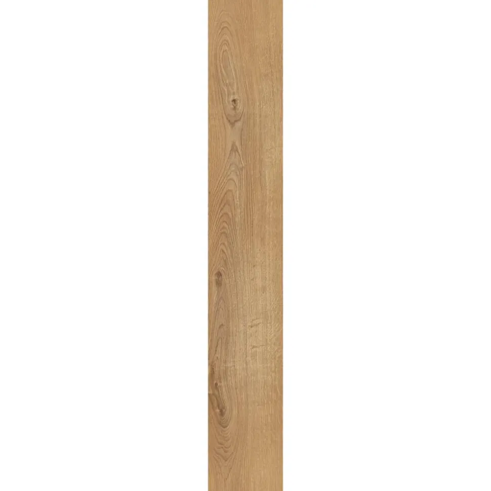 Laminat 'Sherwood Oak' eichefarben braun 8 mm