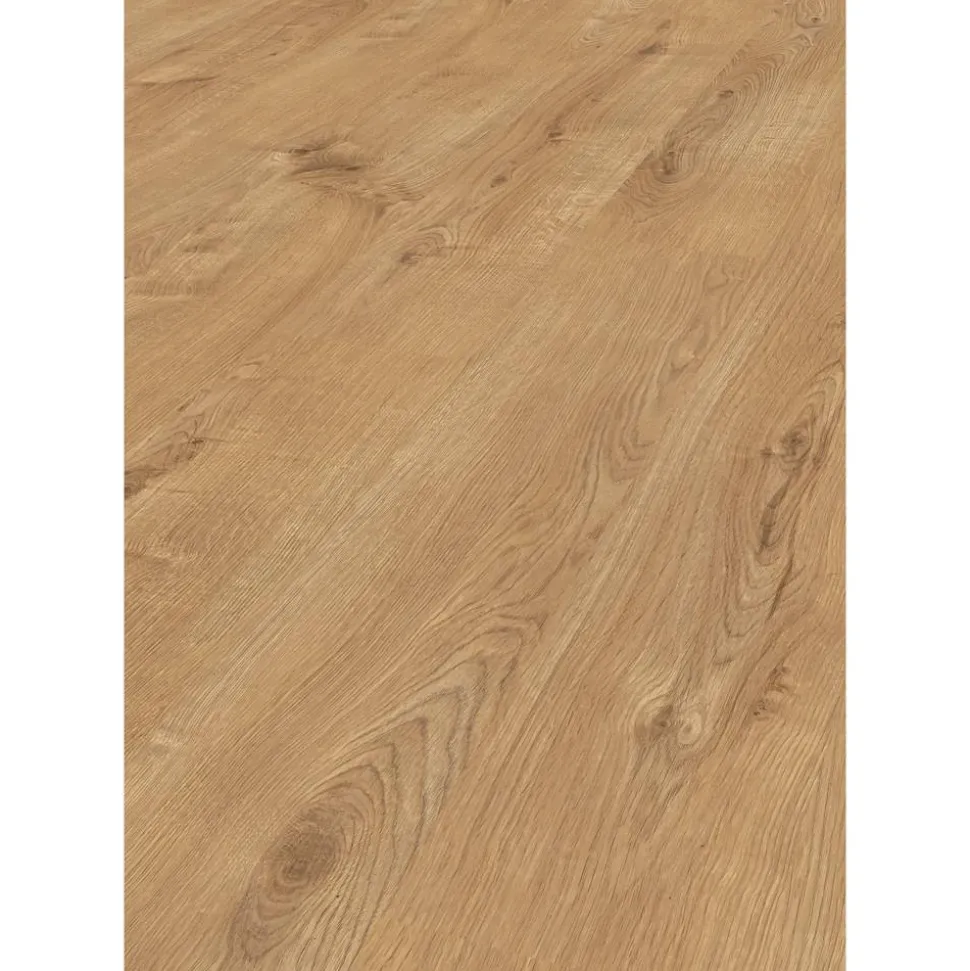 Laminat 'Sherwood Oak' eichefarben braun 8 mm