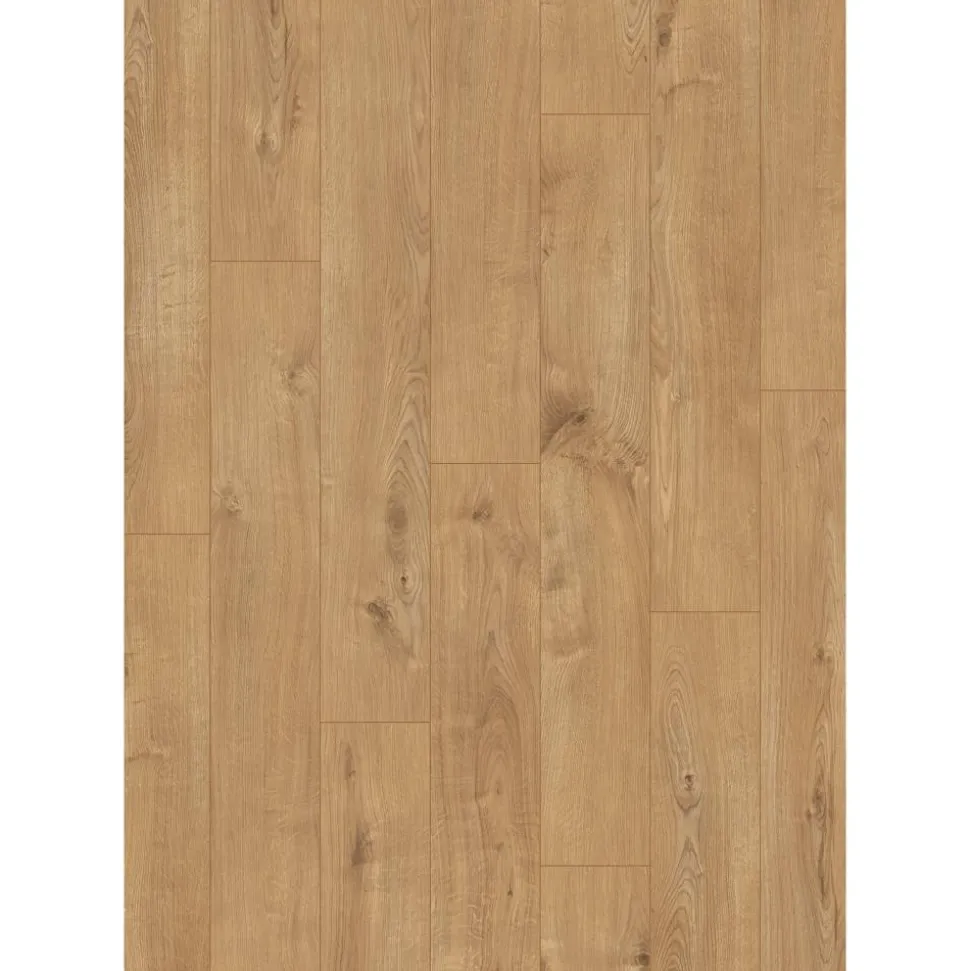 Laminat 'Sherwood Oak' eichefarben braun 8 mm