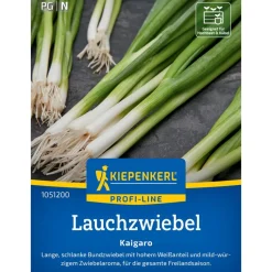 Lauchzwiebel 'Kaigaro'