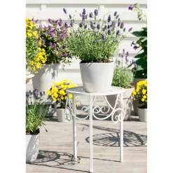 Lavendel 14 cm Topf