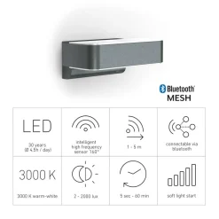 LED-Außenleuchte 'L 810 SC' mit Sensor anthrazit 679 lm
