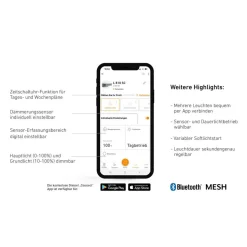 LED-Außenleuchte 'L 810 SC' mit Sensor anthrazit 679 lm