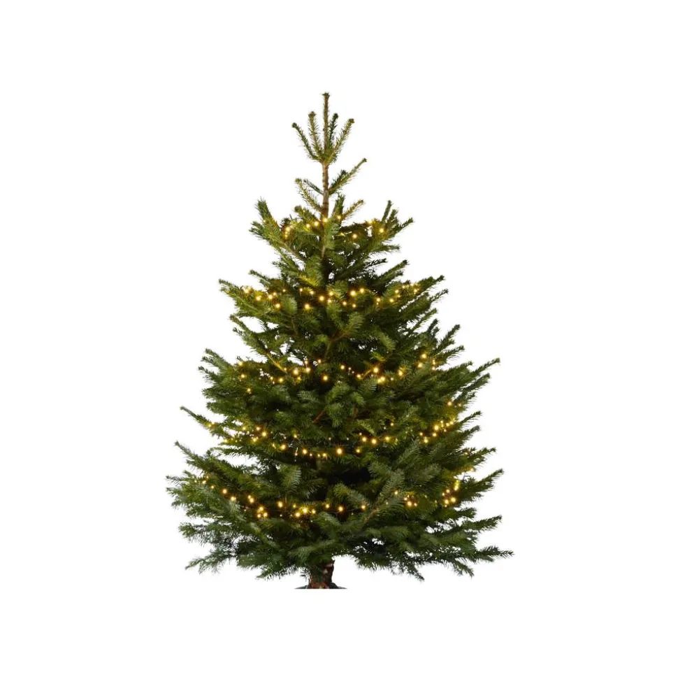 LED-Baummantel-Lichterkette 500 LEDs warmweiß 6 Stränge 150 cm