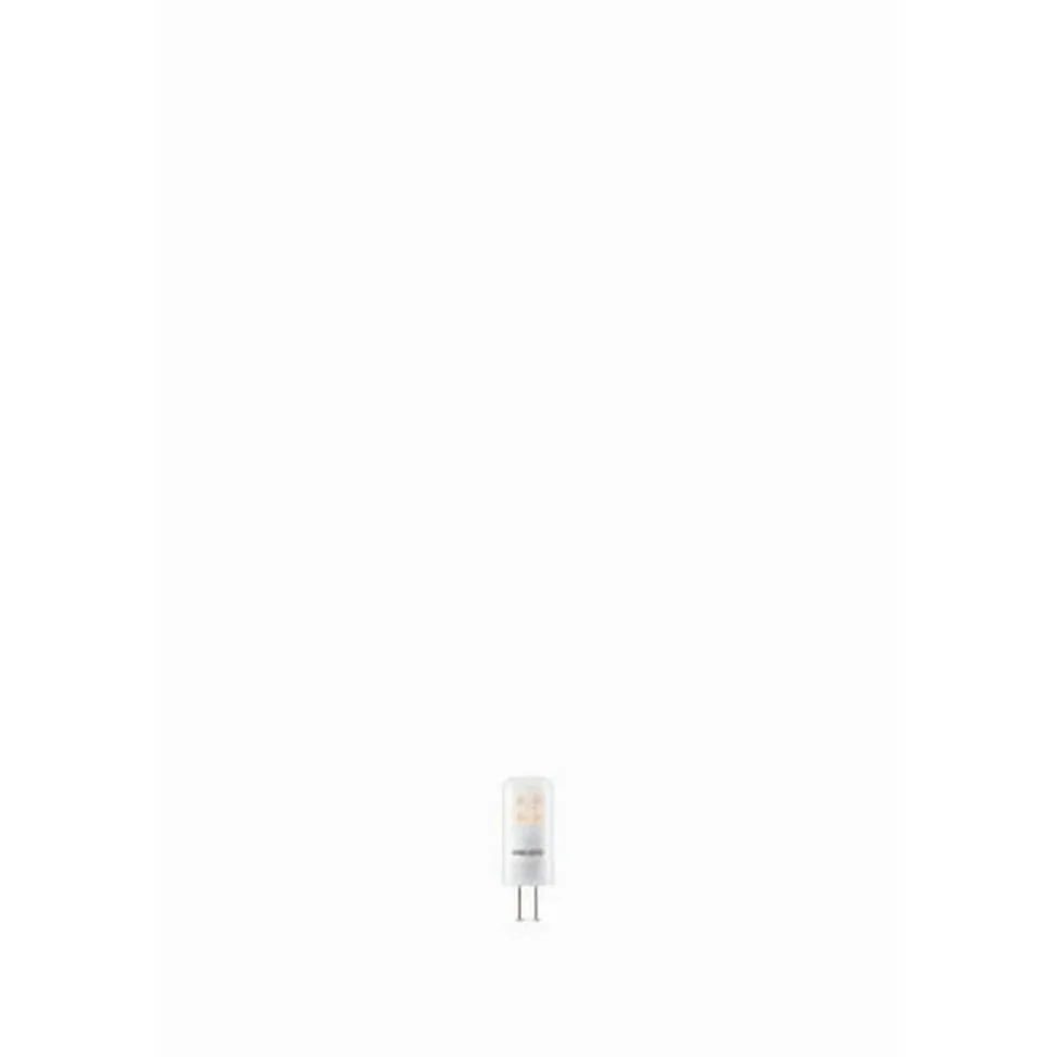 LED-Brenner 'Standard' matt 1,8 W 205 lm