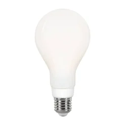 LED-Leuchtmittel E27 21 W 3452 lm