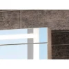 LED-Spiegelschrank 'B.Clever' braun 60 x 70,6 x 15,8 cm