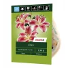 Lilien rosa 3 Stück