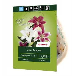 Lilien-Mix 'Festival' 9 Stück