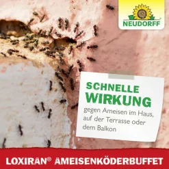 Loxiran Ameisenköderbuffet 2 Stück