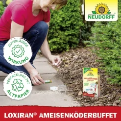 Loxiran Ameisenköderbuffet 2 Stück