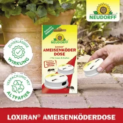 Loxiran Ameisenköderdose 2 Stück
