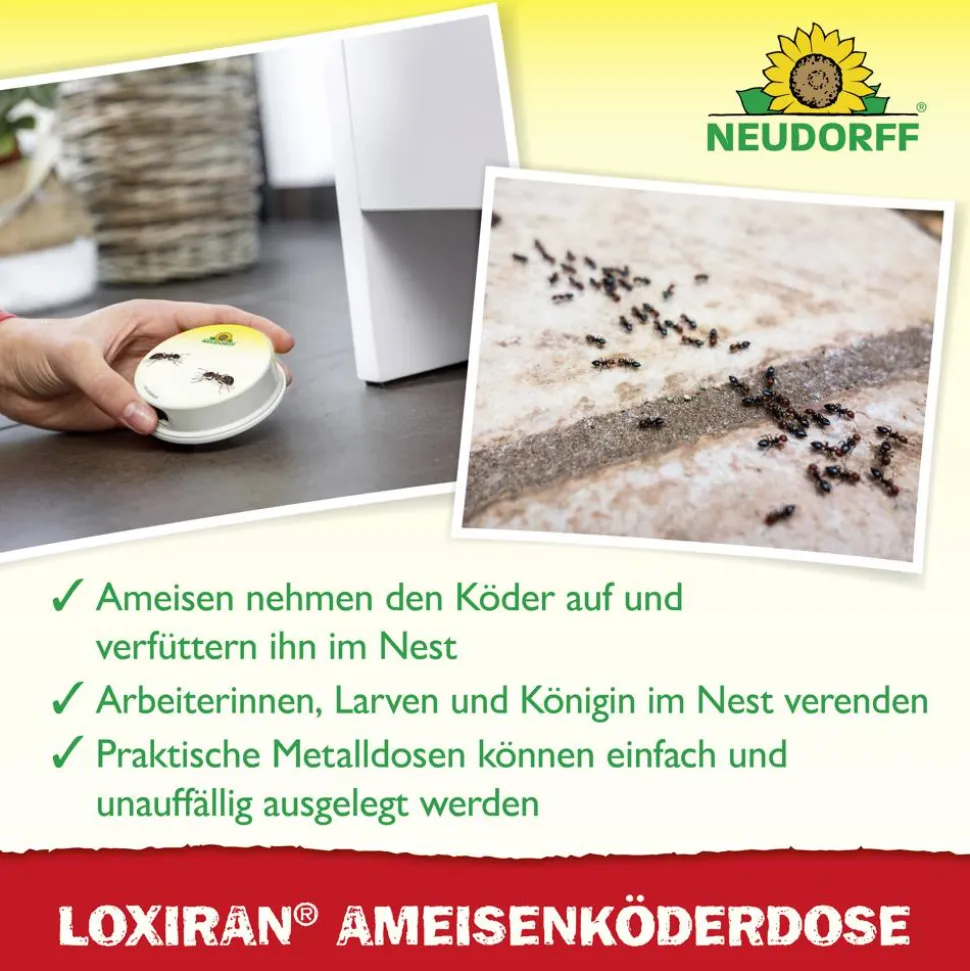 Loxiran Ameisenköderdose 2 Stück