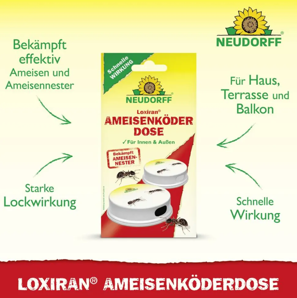 Loxiran Ameisenköderdose 2 Stück