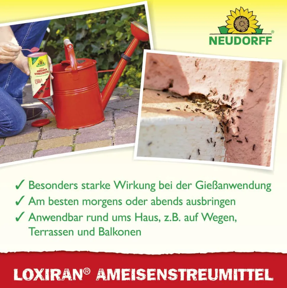 Loxiran Ameisenmittel 500 g