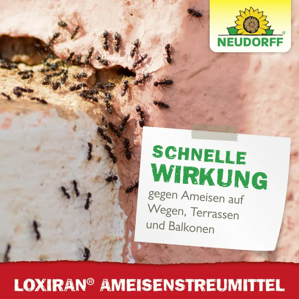 Loxiran Ameisenmittel 500 g