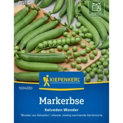 Markerbse 'Kelvedon Wonder'