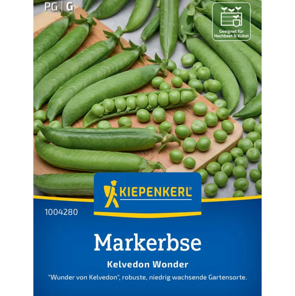 Markerbse 'Kelvedon Wonder'