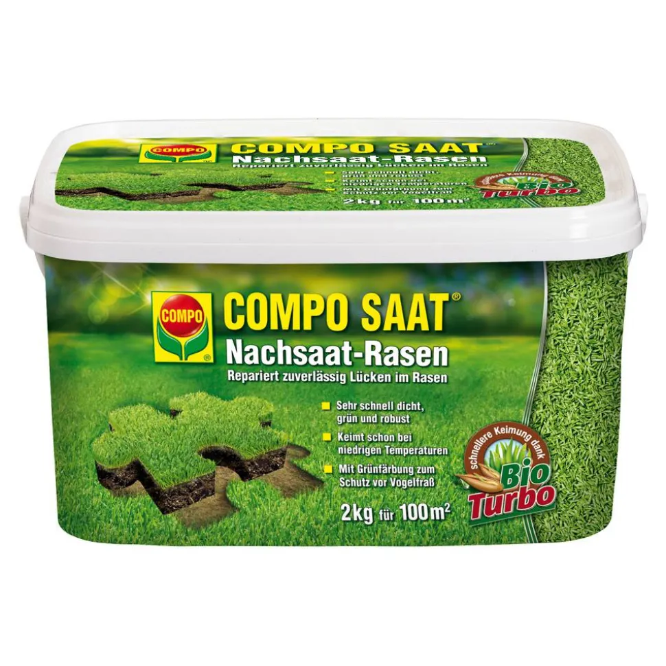 Nachsaatrasen 'Compo Saat' 2 kg