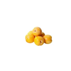 Naturtalent by toom® Bio Mirabelle 'Nancy', Busch 25 cm Topf