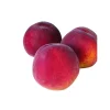 Naturtalent by toom® Bio Pfirsich 'Amsden', Busch 25 cm Topf