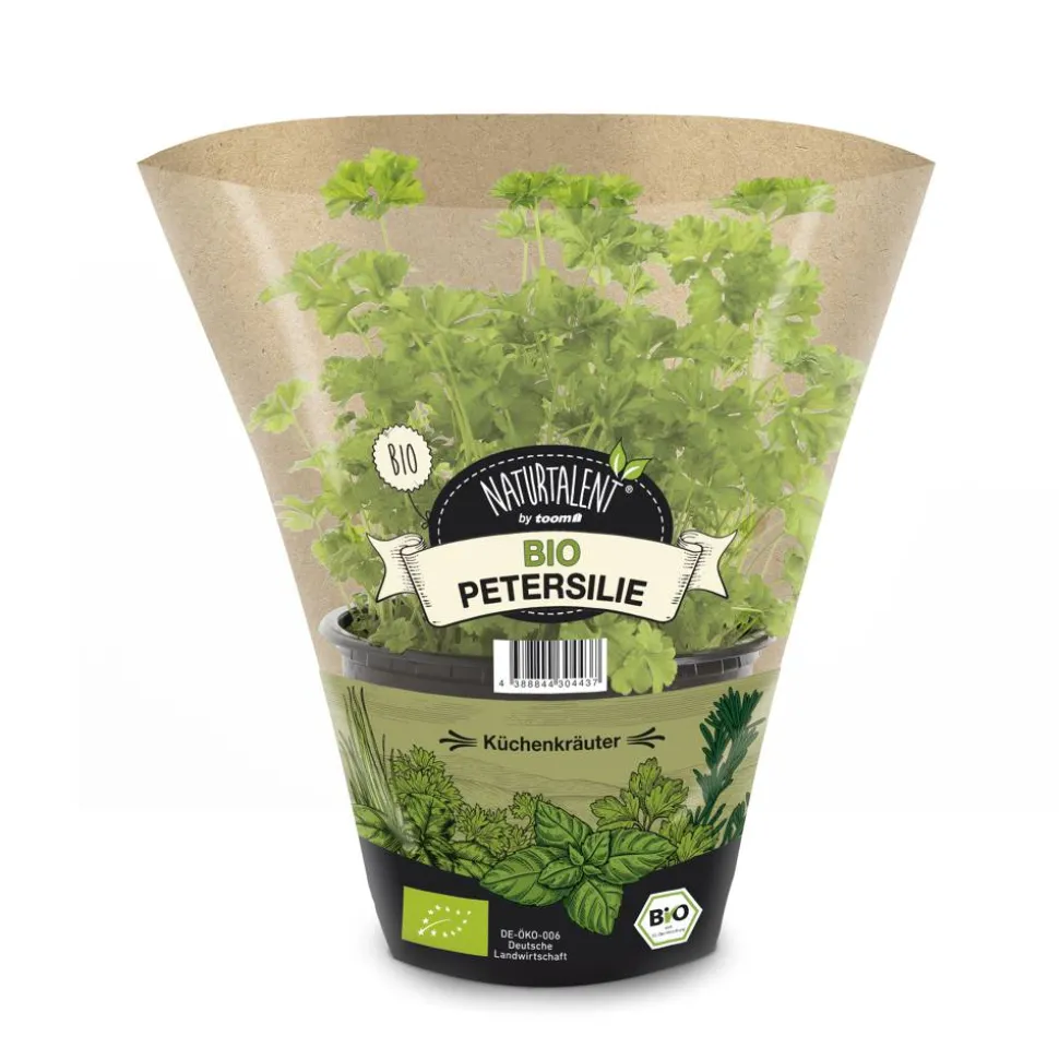 Naturtalent by toom® Bio-Petersilie kraus 12 cm Topf, 2er-Set