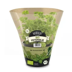 Naturtalent by toom® Bio-Petersilie glatt 12 cm Topf, 2er-Set