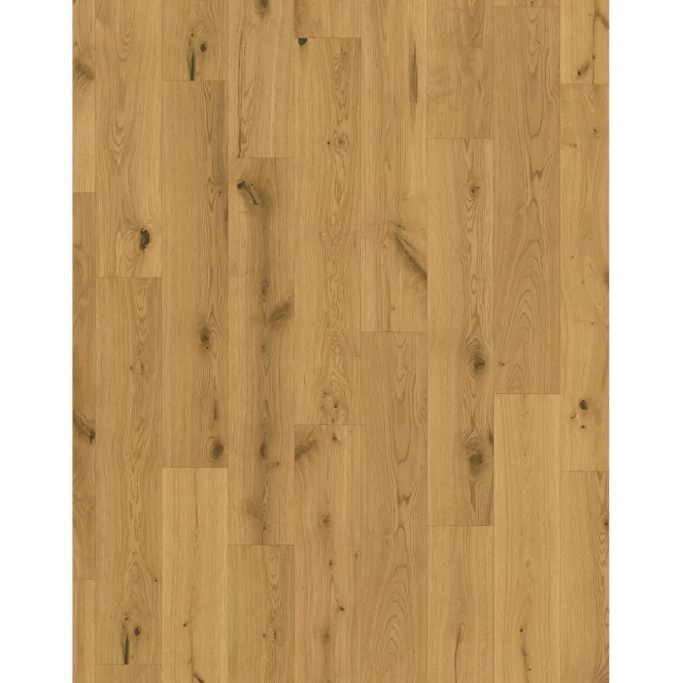 Parkett 'Basic 11-5' Character Eiche Chianti natur lackversiegelt matt 11,5 mm