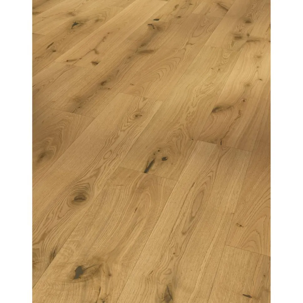Parkett 'Basic 11-5' Character Eiche Chianti natur lackversiegelt matt 11,5 mm