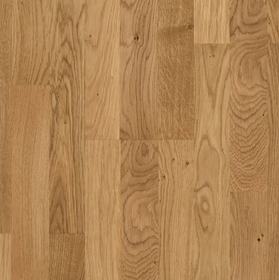 Parkett 'Basic 11-5' Eiche astig lackversiegelt 11,5 mm