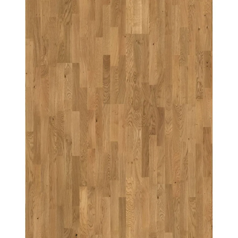 Parkett 'Basic 11-5' Eiche astig lackversiegelt 11,5 mm