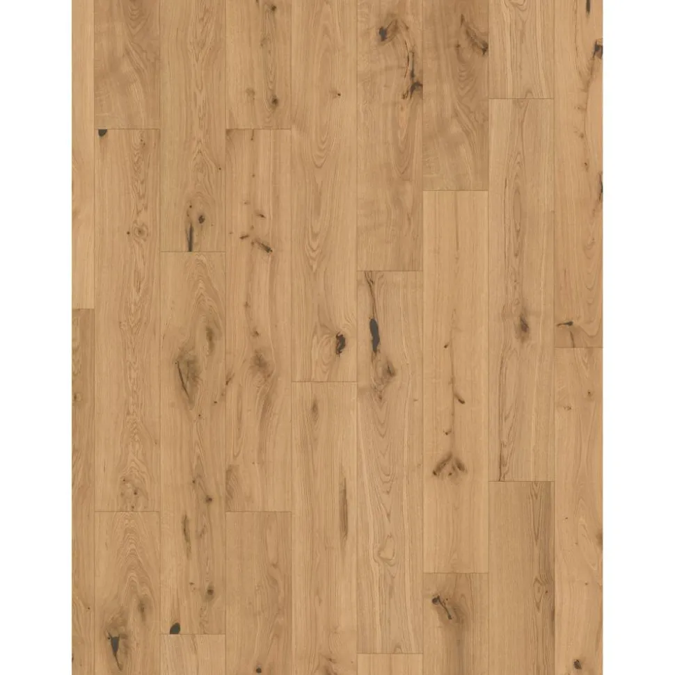 Parkett 'Basic 11-5' Eiche Chianti leicht geweißt lackversiegelt matt 11,5 mm