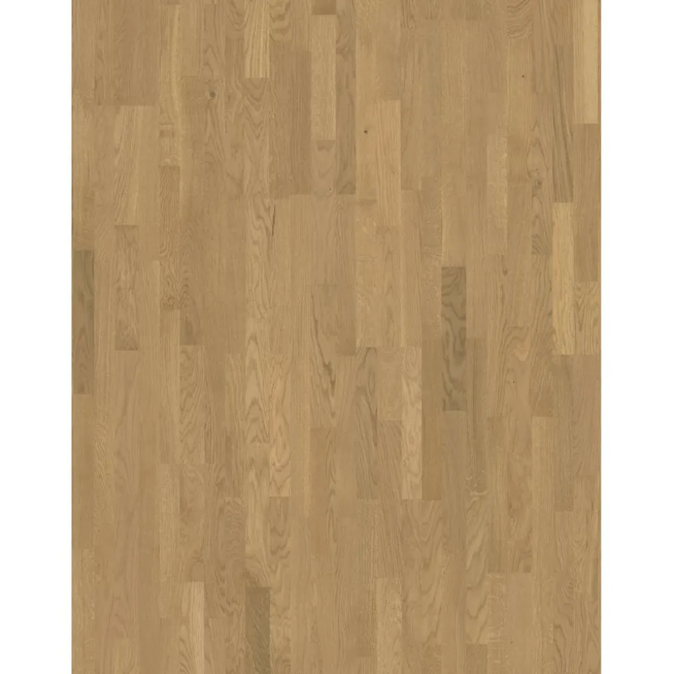 Parkett 'Basic 11-5' Eiche Malbec geweißt lackversiegelt matt hellbraun 11,5 mm