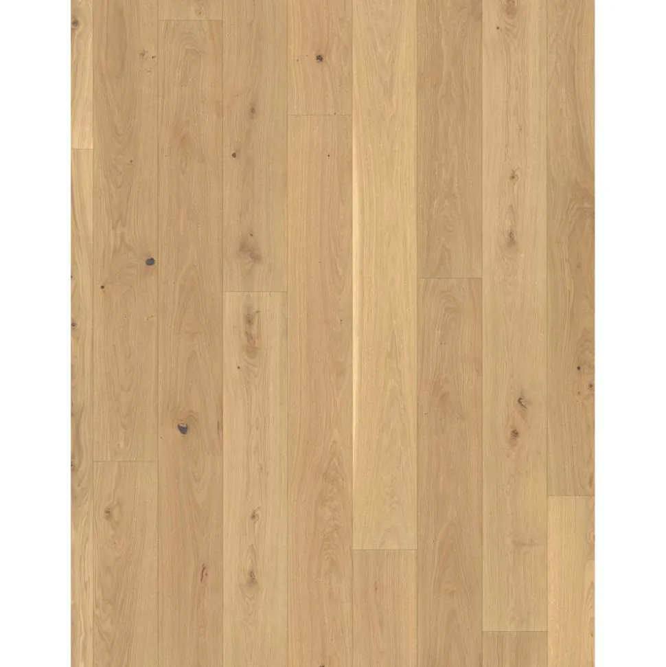 Parkett 'Basic 11-5' Eiche Naturöl weiß 11,5 mm