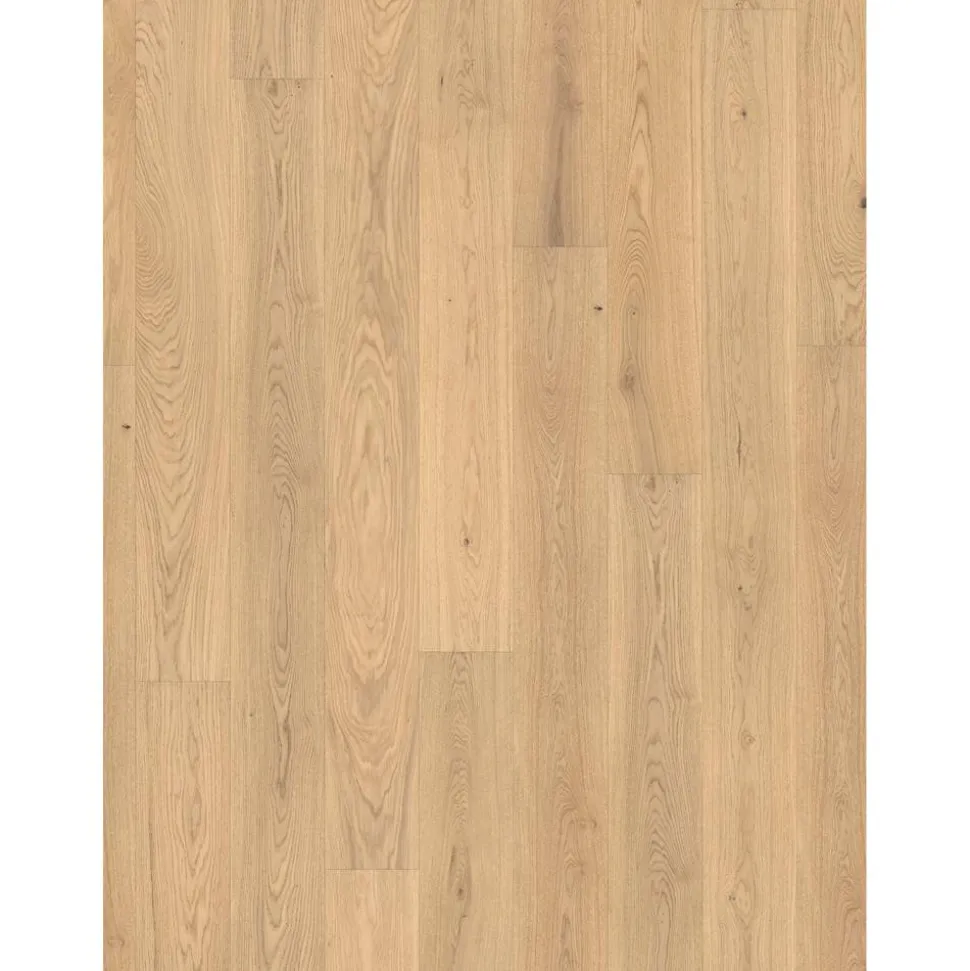 Parkett 'Basic 11-5' Eiche pure matt braun 11,5 mm