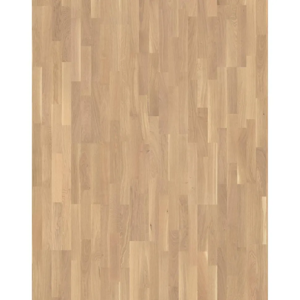 Parkett 'Basic 11-5' Eiche Rustikal hell lackversiegelt 11,5 mm