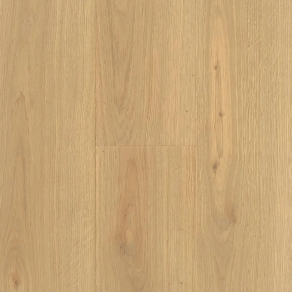 Parkett 'Basic 11-5' Eiche weiß matt weiß 11,5 mm